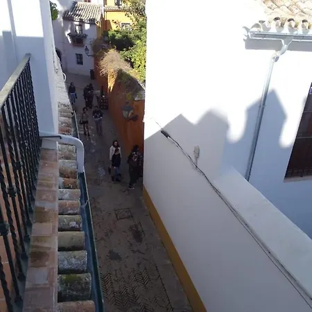 The Of The Alcázar Palace Apartamento